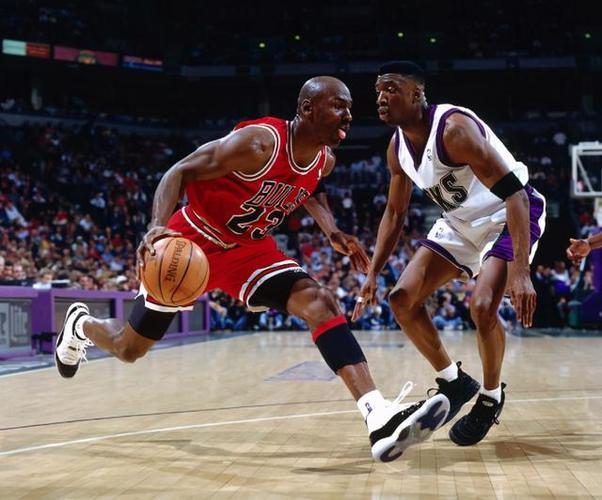 案例参照 案例参照