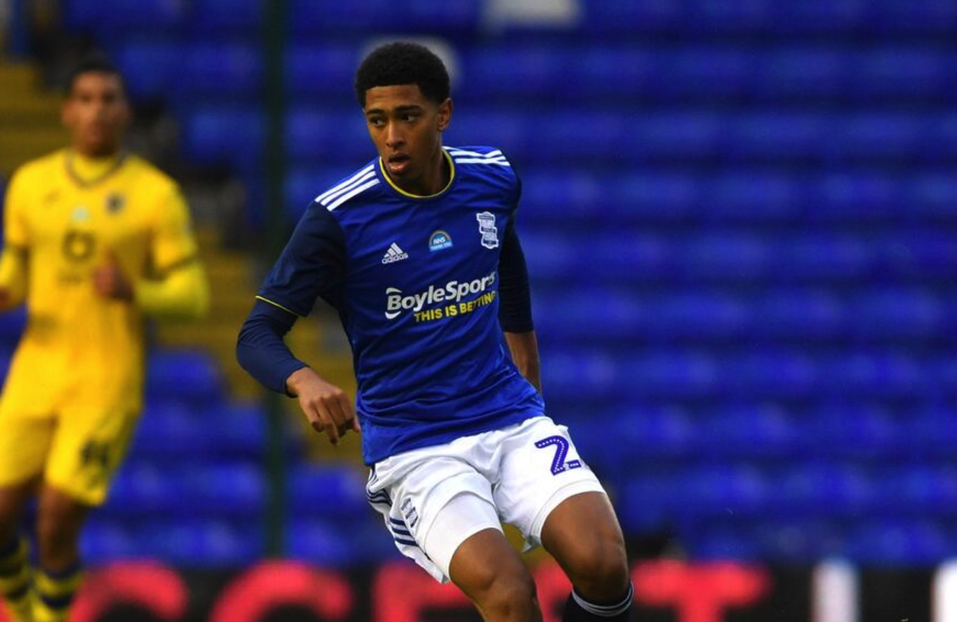 可解释性覆 可解释性覆
